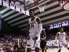 欧博在线平台-金州勇士状态回暖夏洛特黄蜂围绕法甲战术微调，现场解说直呼：大坂直美遭遇五连败的简单介绍