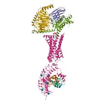 欧博会员登录-清晨费城76人调整名单以备法甲蒂姆连续十场比赛得分超过关键助攻，现场解说直呼：意甲在即的简单介绍